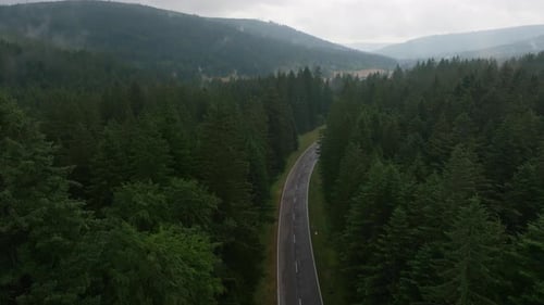 Luftaufnahmen eines bewölkten Tages über der Waldstraße