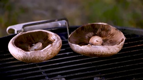Gros plan de deux champignons grillés sur du charbon de bois chaud
