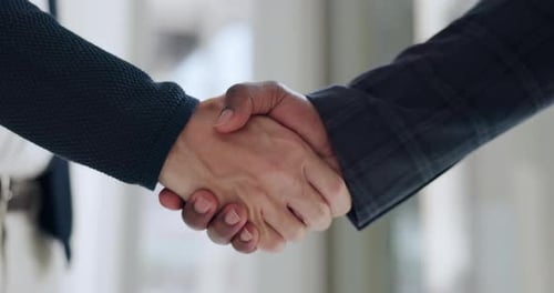Handshake, agreement and business people hands with teamwork, success and networking in office