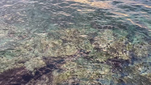 Top View of Crystal Clear Water