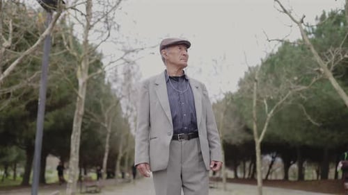Elderly Gentleman Standing in Park Observing Surroundings