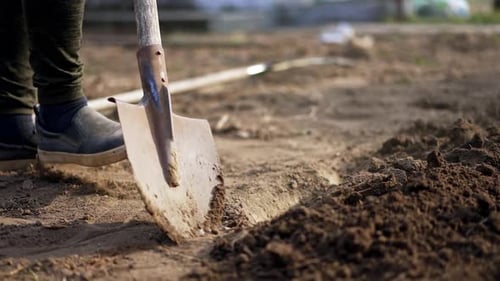 Preparation of soil for the planting season in spring.