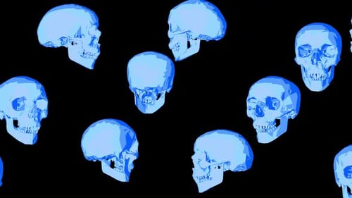 Lolyskull 11