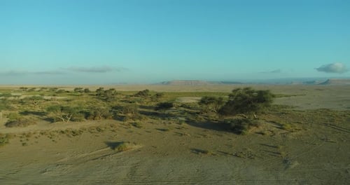 Aerial Drone shot for Oasis Siwa in the western Desert of Egypt , shot on 4K Raw