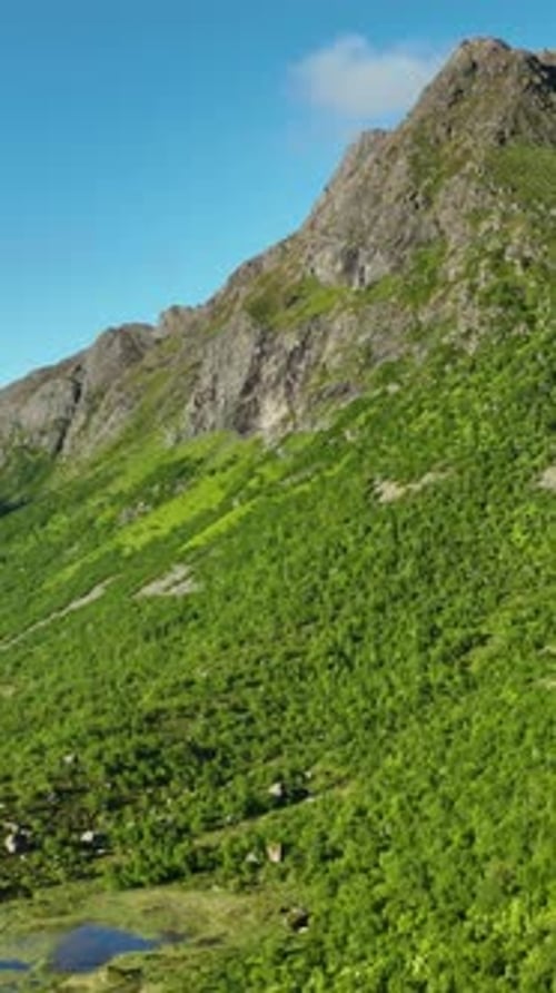 Luftaufnahme der schönen Küste Nordnorwegens. Vertikales Video.