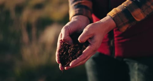 Farming, hands and checking soil in inspection of agriculture, fertilizer