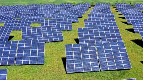 A large field of solar panels under the sun generating renewable energy