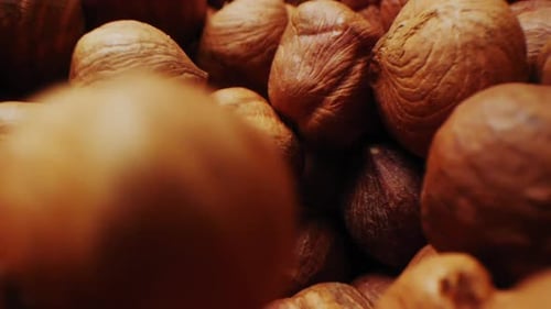 Motion Above Delicious Hazelnuts in Container Macro View