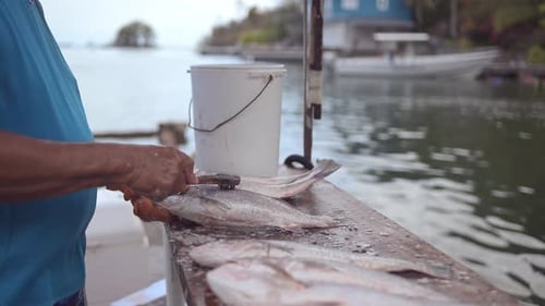 Mann beim Putzen von Fischen neben Wasser gesehen