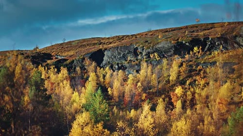 A scenic view of a rugged hillside, with vibrant autumn trees creating a striking contrast against t