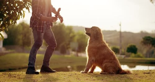 Nichts weckt mehr Glück als Zeit, die Sie mit Ihrem Hund verbringen
