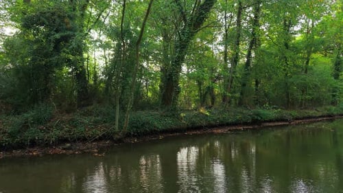 Sonne scheint durch hohe Bäume mit ruhigem Fluss, der Waldgrün reflektiert, wilder Bach fließt