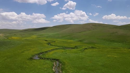 Wildflowers, Meanders And Cloudy Blue Sky