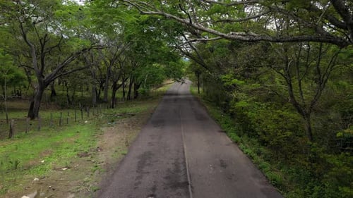 Drohnenflug, Luftaufnahme einer Landschaft über einer Landstraße zwischen unbefestigten Bäumen, Passage oder Pfad