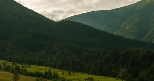 Green grassland meets coniferous forest in the scenic mountains of slovakia