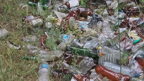 Illegal Garbage Dump of Plastic and Bottles in the Forest Pit Pollution