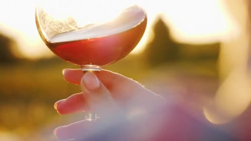 The Winemaker Holds a Glass of Red Wine Looks at Him in the Sun Closeup Slow Motion Video