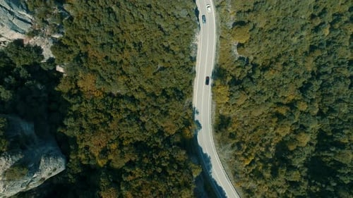 Aerial of cars driving on winding forest road through scenic landscape, top view