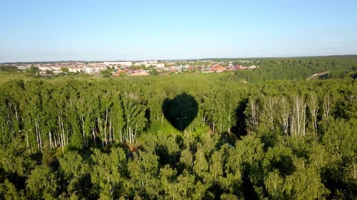 Hot Air Balloon Shadow on Green Trees on a Sunny Summer Day