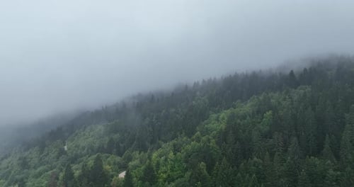 Foggy Forest Aerial View of Mountain Landscape
