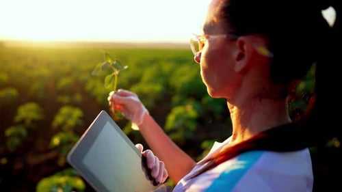 Young Woman Agronomist Holds Digital Tablet in Field Uses His Proposal to Record and Account for