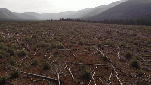 Deforested Landscape in a Mountainous Valley