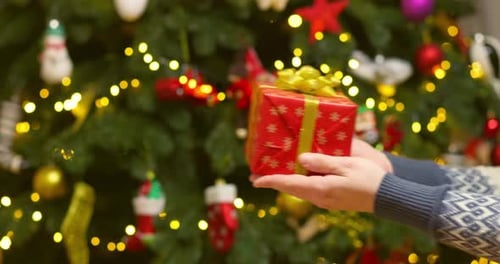 Hands Exchange Christmas Gift Under Decorated Tree