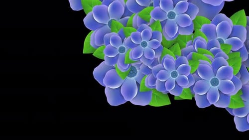 Purple Flowers Blooming Alpha Transition