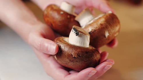 Fresh Champignon Mushrooms Big Portobello Macro Side View Background Chef Man Hold Supermarket Food