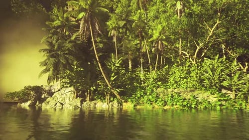 Hazy Morning with Vibrant Reflections and Lush Vegetation Backdrop