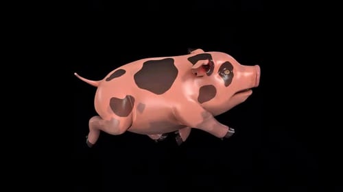 Toon Character Pig Run