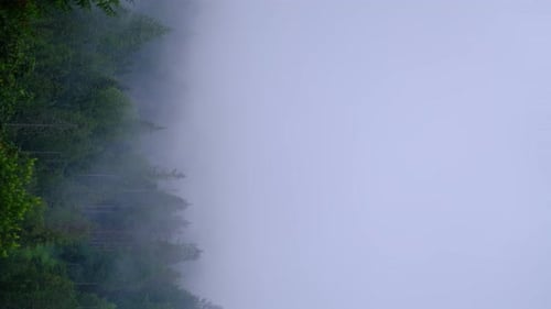 Misty Fog Along Mountain Forest