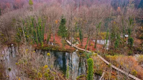 Vue aérienne par drone de sentiers piétonniers en bois serpentant à travers des lacs calmes et à travers de grands roseaux. Plitv