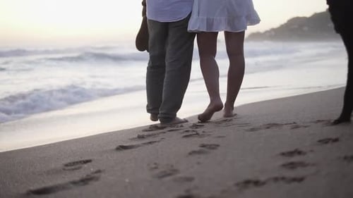 Slow motion handheld shot of a couple in love during a romantic walk on the beach with their dogs le
