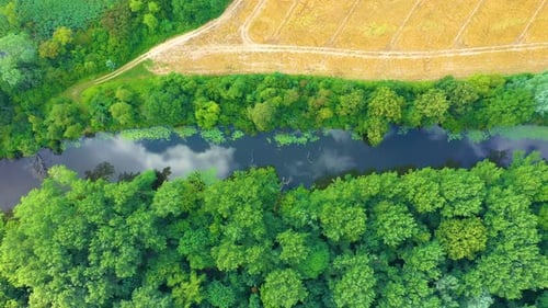 Top down view on exotic winding river flows through green wetlands. Birds eye view of zig-zag creek.