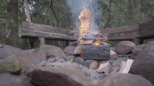 Crackling Campfire in a Secluded Woodland Setting