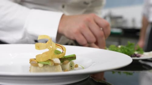 French chef plating a luxurious fine-dining dish slow motion close up shot.