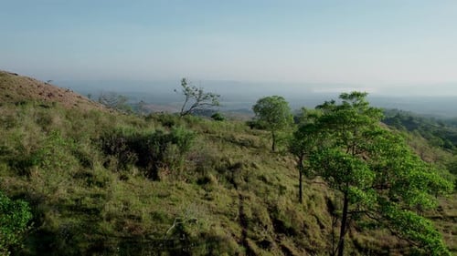 Aerial Drone Flying Over Lush Green Hillside with Hazy Valley View