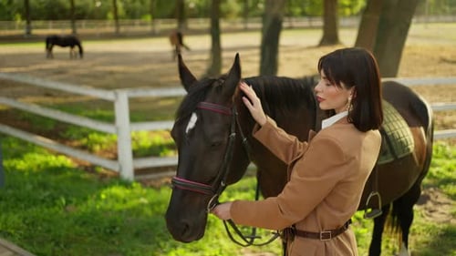 Rider Lovingly Caresses Horse in Paddock Equestrian Sport Concept