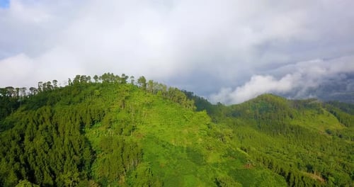 Reveal drone shot of forest on hill in cloudy weather. Tropical landscape of Indonesia