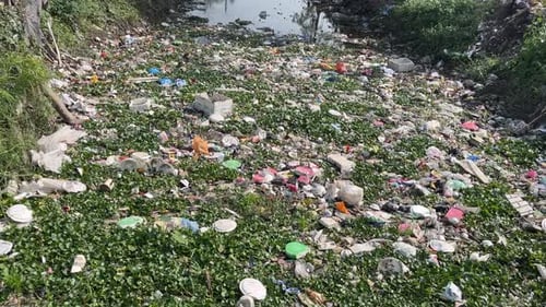 Earlier there was river Saraswati but it has become a drain due to dumping of human waste.