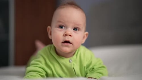 Infant Lying on Stomach Looks at Camera
