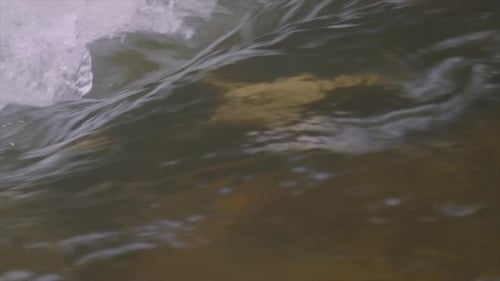 Smooth Flowing Slow Motion River Water with Powerful Stream Creating Splashes.