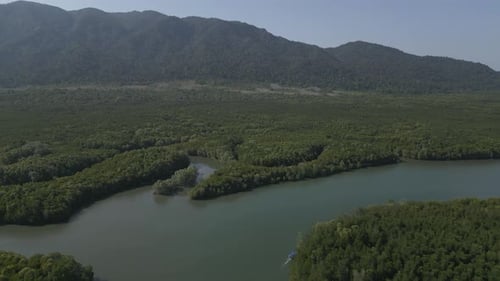 mangrove forest floating village, boats river. Nice aerial view flight drone