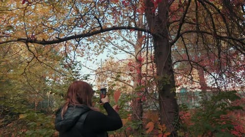 A Girl taking a photo of a leaf in the park in autumn, Montpellier - France