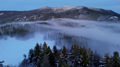 Winter Mountain Forest Aerial View with Low Clouds and Fog at Dusk