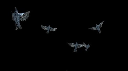 Flock of Crows Flying with Alpha Channel