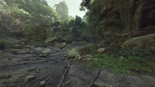 A Mountain Stream Running Through a Lush Green Forest