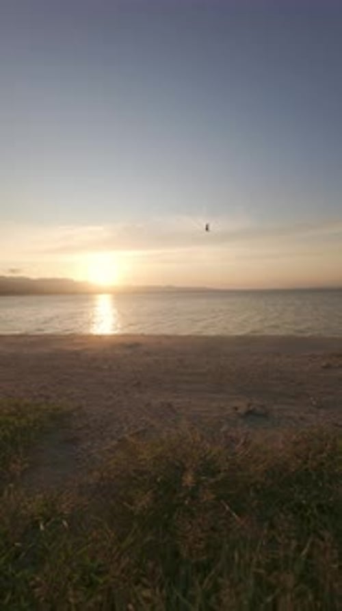 Jambes du coureur au coucher du soleil