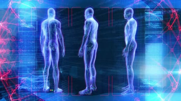 3D Human Body Scan with Glowing Internal Organ Highlight, Elements ...